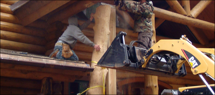 Log Home Log Replacement  Amissville, Virginia