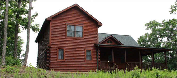 Professional Log Home Borate Application  Amissville, Virginia
